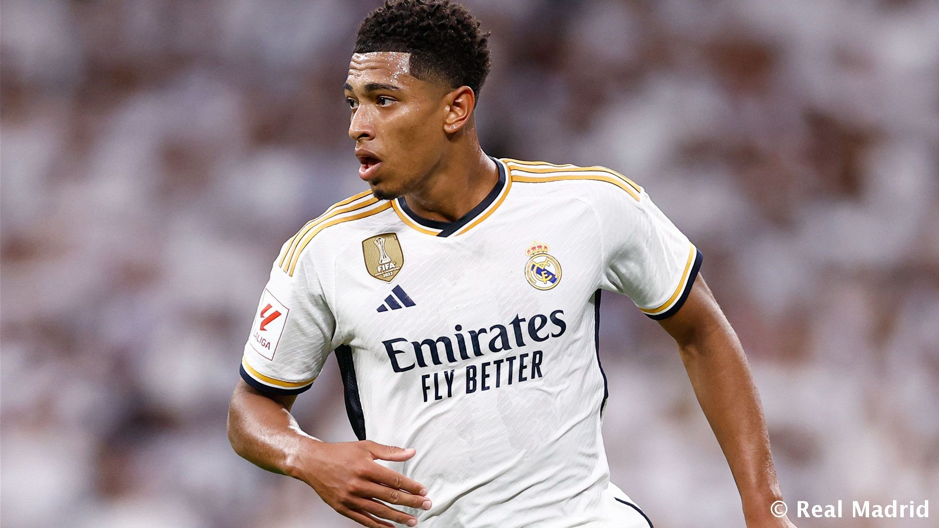 都体：森林和维拉有意卡斯特罗，博洛尼亚可能要价4000-5000万