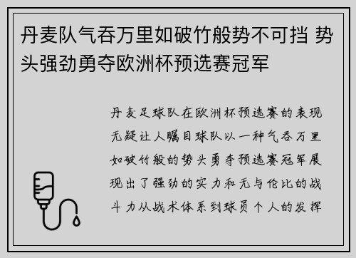 丹麦队气吞万里如破竹般势不可挡 势头强劲勇夺欧洲杯预选赛冠军