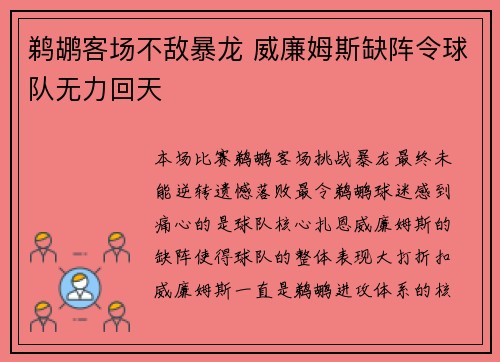 鹈鹕客场不敌暴龙 威廉姆斯缺阵令球队无力回天
