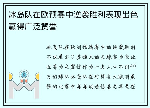 冰岛队在欧预赛中逆袭胜利表现出色赢得广泛赞誉